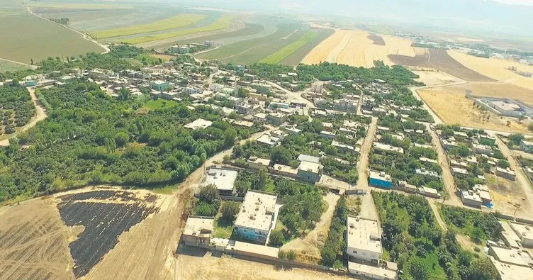 Birlikte Daha Yeşil, Daha Temiz Bir Şehir